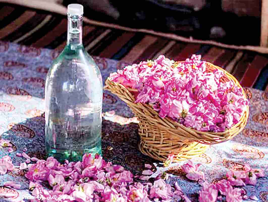 خرید و فروش گلاب کاشان با شرایط فوق العاده